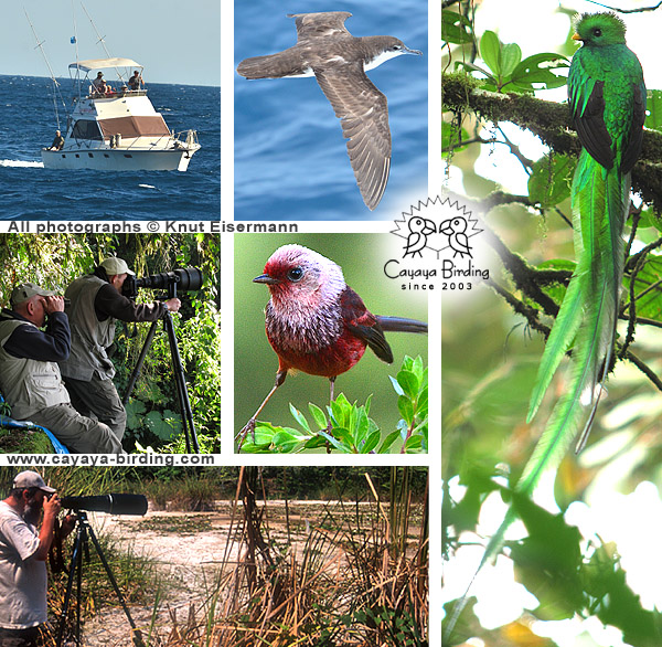 Guatemala Fotossafaries und Naturreisen