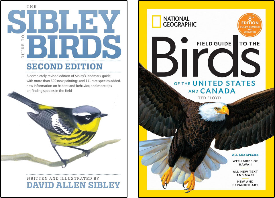 Sibley, National Geographic, birds of North America