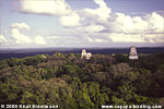Wlad im Nationalpark Tikal